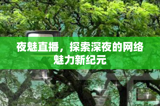 夜魅直播,探索深夜的网络魅力新纪元 夜魅直播,探索深夜的网络魅力新纪元