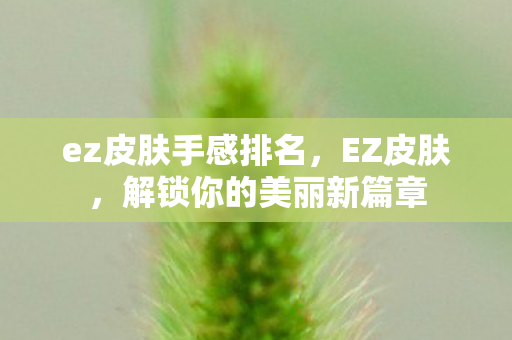 ez皮肤手感排名,EZ皮肤,解锁你的美丽新篇章 ez皮肤手感排名,EZ皮肤,解锁你的美丽新篇章