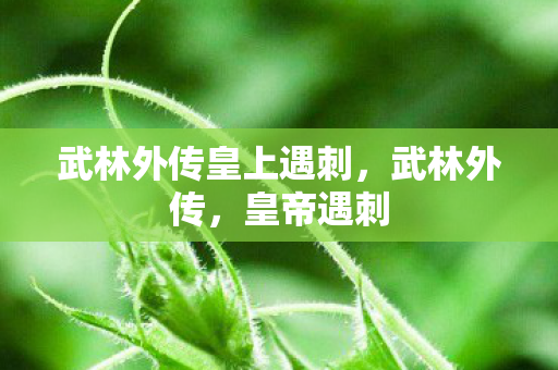 武林外传皇上遇刺,武林外传,皇帝遇刺 武林外传皇上遇刺,武林外传,皇帝遇刺
