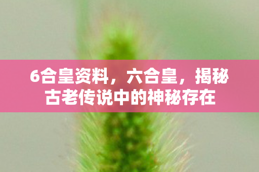 6合皇资料,六合皇,揭秘古老传说中的神秘存在 6合皇资料,六合皇,揭秘古老传说中的神秘存在