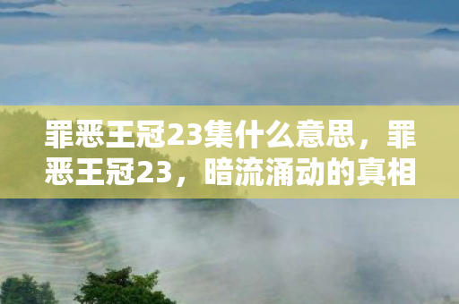 罪恶王冠23集什么意思，罪恶王冠23，暗流涌动的真相