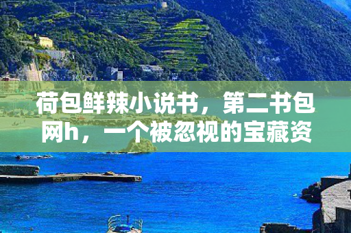 荷包鲜辣小说书，第二书包网h，一个被忽视的宝藏资源平台