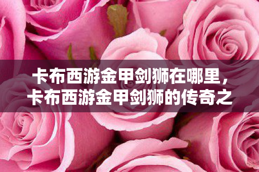 卡布西游金甲剑狮在哪里，卡布西游金甲剑狮的传奇之地