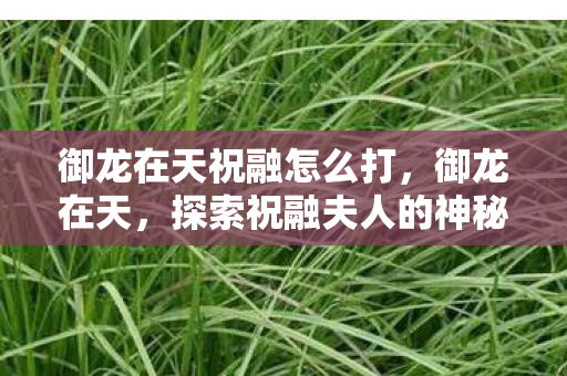 御龙在天祝融怎么打,御龙在天,探索祝融夫人的神秘坐标 御龙在天祝融怎么打,御龙在天,探索祝融夫人的神秘坐标
