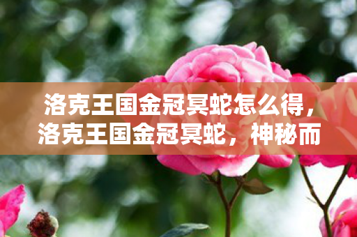 洛克王国金冠冥蛇怎么得,洛克王国金冠冥蛇,神秘而强大的守护者 洛克王国金冠冥蛇怎么得,洛克王国金冠冥蛇,神秘而强大的守护者