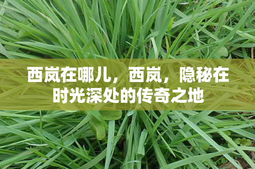 西岚在哪儿,西岚,隐秘在时光深处的传奇之地 西岚在哪儿,西岚,隐秘在时光深处的传奇之地