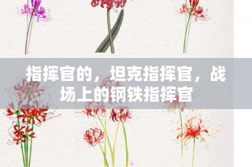 指挥官的,坦克指挥官,战场上的钢铁指挥官 指挥官的,坦克指挥官,战场上的钢铁指挥官