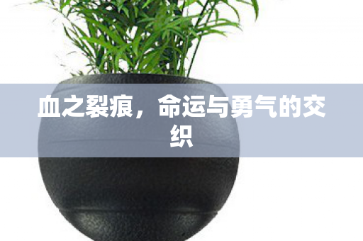 血之裂痕,命运与勇气的交织 血之裂痕,命运与勇气的交织