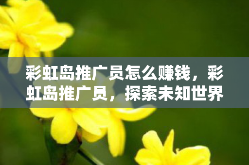 彩虹岛推广员怎么赚钱，彩虹岛推广员，探索未知世界的奇妙之旅