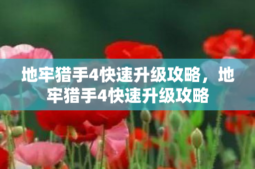 地牢猎手4快速升级攻略,地牢猎手4快速升级攻略 地牢猎手4快速升级攻略,地牢猎手4快速升级攻略