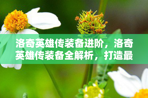 洛奇英雄传装备进阶，洛奇英雄传装备全解析，打造最强战斗力的关键