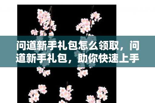 问道新手礼包怎么领取,问道新手礼包,助你快速上手的神秘宝箱 问道新手礼包怎么领取,问道新手礼包,助你快速上手的神秘宝箱