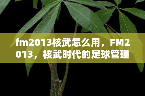 fm2013核武怎么用，FM2013，核武时代的足球管理艺术