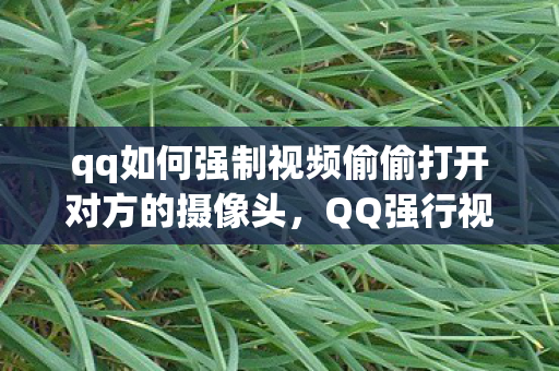 qq如何强制视频偷偷打开对方的摄像头，QQ强行视频，隐私与安全的边界