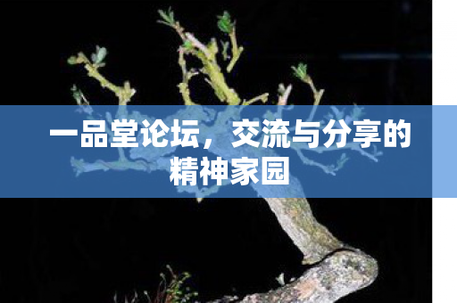 一品堂论坛,交流与分享的精神家园 一品堂论坛,交流与分享的精神家园