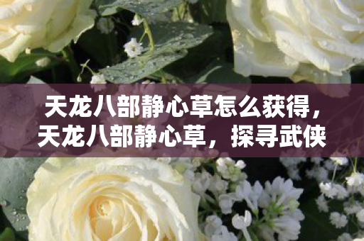天龙八部静心草怎么获得,天龙八部静心草,探寻武侠世界中的神秘草药 天龙八部静心草怎么获得,天龙八部静心草,探寻武侠世界中的神秘草药