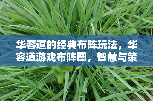 华容道的经典布阵玩法,华容道游戏布阵图,智慧与策略的较量 华容道的经典布阵玩法,华容道游戏布阵图,智慧与策略的较量