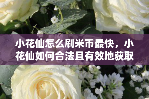 小花仙怎么刷米币最快,小花仙如何合法且有效地获取米币? 小花仙怎么刷米币最快,小花仙如何合法且有效地获取米币?