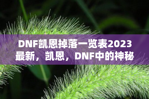 DNF凯恩掉落一览表2023最新,凯恩,DNF中的神秘导师与灵魂导师 DNF凯恩掉落一览表2023最新,凯恩,DNF中的神秘导师与灵魂导师