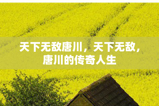 天下无敌唐川，天下无敌，唐川的传奇人生