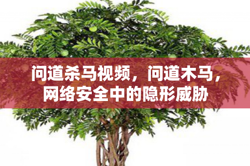 问道杀马视频,问道木马,网络安全中的隐形威胁 问道杀马视频,问道木马,网络安全中的隐形威胁