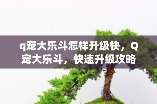 q宠大乐斗怎样升级快,Q宠大乐斗,快速升级攻略 q宠大乐斗怎样升级快,Q宠大乐斗,快速升级攻略