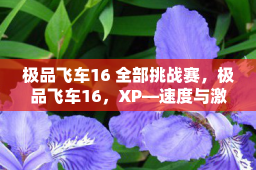 极品飞车16 全部挑战赛，极品飞车16，XP—速度与激情的极致体验