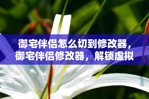 御宅伴侣怎么切到修改器,御宅伴侣修改器,解锁虚拟世界的无限可能 御宅伴侣怎么切到修改器,御宅伴侣修改器,解锁虚拟世界的无限可能