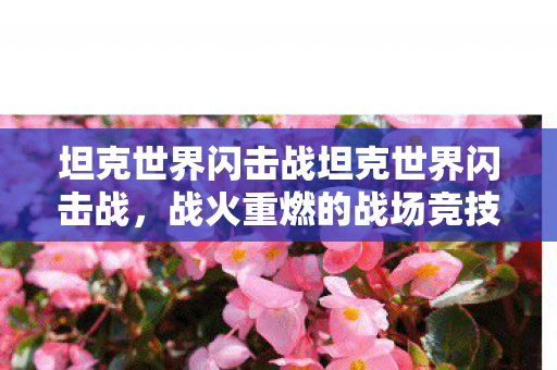 坦克世界闪击战坦克世界闪击战,战火重燃的战场竞技 坦克世界闪击战坦克世界闪击战,战火重燃的战场竞技