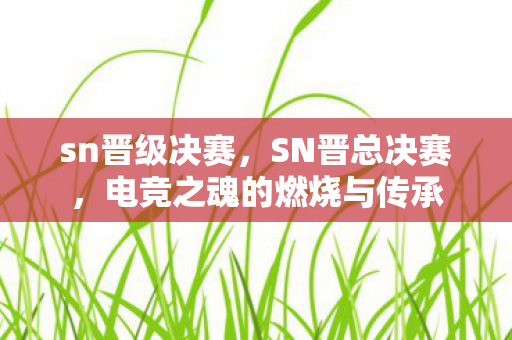 sn晋级决赛,SN晋总决赛,电竞之魂的燃烧与传承 sn晋级决赛,SN晋总决赛,电竞之魂的燃烧与传承