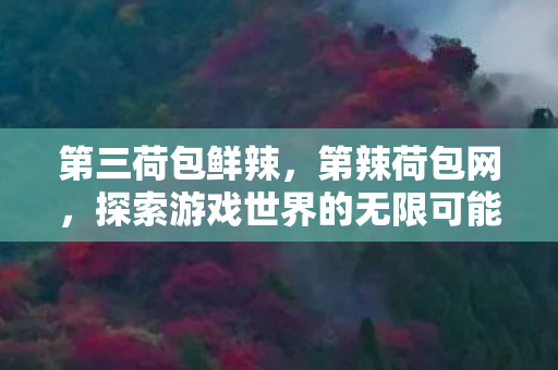 第三荷包鲜辣,第辣荷包网,探索游戏世界的无限可能 第三荷包鲜辣,第辣荷包网,探索游戏世界的无限可能