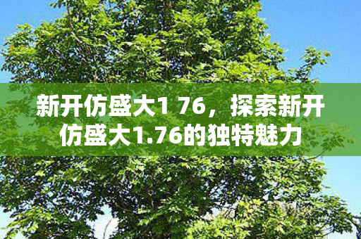 新开仿盛大1 76，探索新开仿盛大1.76的独特魅力