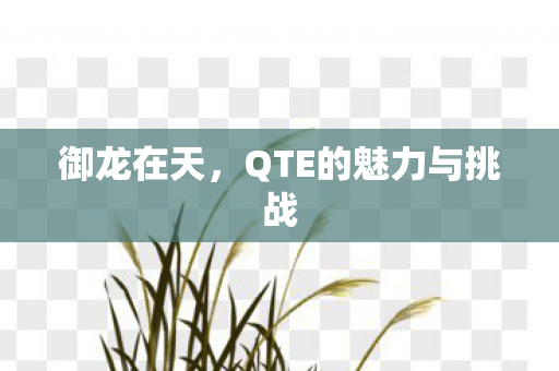 御龙在天,QTE的魅力与挑战 御龙在天,QTE的魅力与挑战