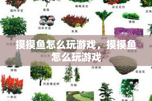 摸摸鱼怎么玩游戏,摸摸鱼怎么玩游戏 摸摸鱼怎么玩游戏,摸摸鱼怎么玩游戏