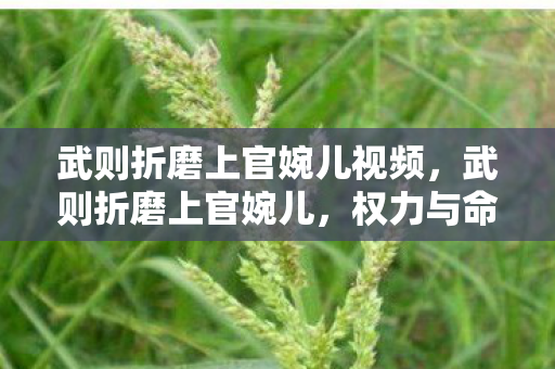 武则折磨上官婉儿视频,武则折磨上官婉儿,权力与命运的交织 武则折磨上官婉儿视频,武则折磨上官婉儿,权力与命运的交织
