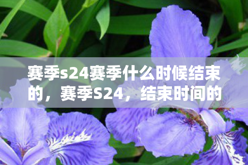 赛季s24赛季什么时候结束的,赛季S24,结束时间的猜想与回顾 赛季s24赛季什么时候结束的,赛季S24,结束时间的猜想与回顾