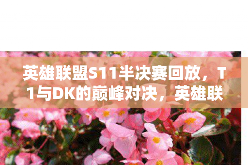英雄联盟S11半决赛回放,T1与DK的巅峰对决,英雄联盟S11半决赛的看点与解析 英雄联盟S11半决赛回放,T1与DK的巅峰对决,英雄联盟S11半决赛的看点与解析