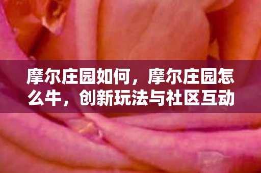 摩尔庄园如何,摩尔庄园怎么牛,创新玩法与社区互动引领儿童虚拟世界新潮流 摩尔庄园如何,摩尔庄园怎么牛,创新玩法与社区互动引领儿童虚拟世界新潮流