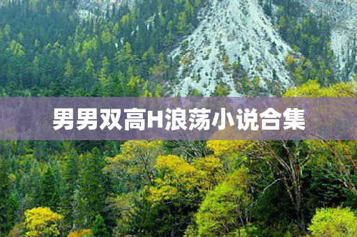 男男双高H浪荡小说合集