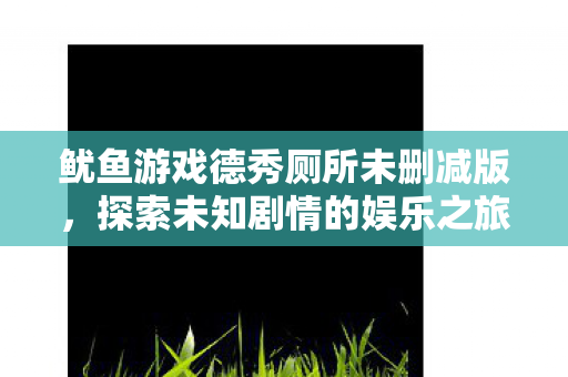 鱿鱼游戏德秀厕所未删减版，探索未知剧情的娱乐之旅