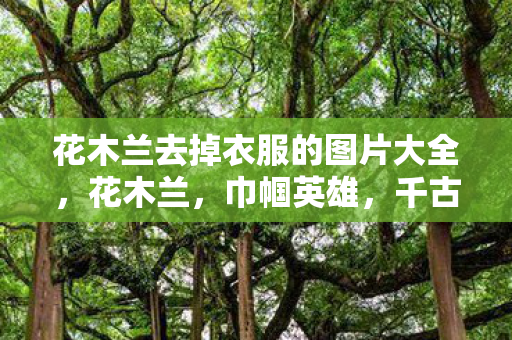 花木兰去掉衣服的图片大全,花木兰,巾帼英雄,千古传奇 花木兰去掉衣服的图片大全,花木兰,巾帼英雄,千古传奇