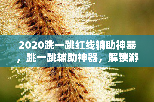 2020跳一跳红线辅助神器,跳一跳辅助神器,解锁游戏新境界的利器 2020跳一跳红线辅助神器,跳一跳辅助神器,解锁游戏新境界的利器
