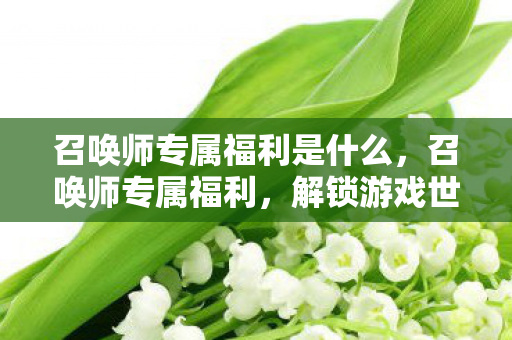 召唤师专属福利是什么,召唤师专属福利,解锁游戏世界的无限可能 召唤师专属福利是什么,召唤师专属福利,解锁游戏世界的无限可能