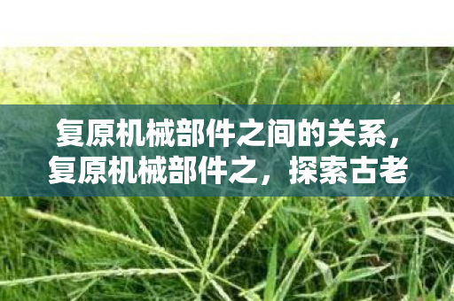 复原机械部件之间的关系,复原机械部件之,探索古老机械的艺术与科学 复原机械部件之间的关系,复原机械部件之,探索古老机械的艺术与科学