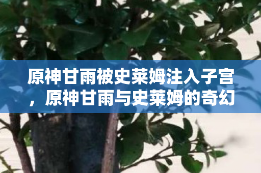 原神甘雨被史莱姆注入子宫,原神甘雨与史莱姆的奇幻之旅,探索未知的天空 原神甘雨被史莱姆注入子宫,原神甘雨与史莱姆的奇幻之旅,探索未知的天空