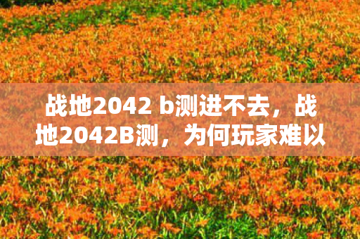 战地2042 b测进不去,战地2042B测,为何玩家难以进入测试? 战地2042 b测进不去,战地2042B测,为何玩家难以进入测试?