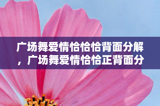 广场舞爱情恰恰恰背面分解，广场舞爱情恰恰正背面分解教学