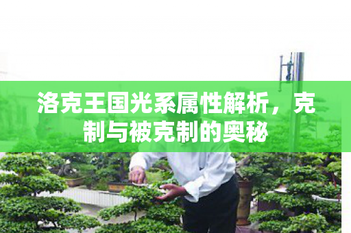 洛克王国光系属性解析,克制与被克制的奥秘 洛克王国光系属性解析,克制与被克制的奥秘