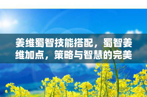 姜维蜀智技能搭配,蜀智姜维加点,策略与智慧的完美结合 姜维蜀智技能搭配,蜀智姜维加点,策略与智慧的完美结合