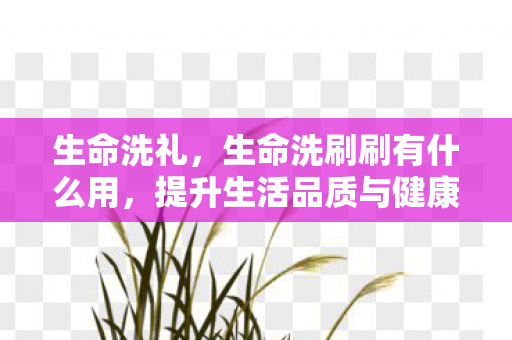 生命洗礼,生命洗刷刷有什么用,提升生活品质与健康的秘密武器 生命洗礼,生命洗刷刷有什么用,提升生活品质与健康的秘密武器